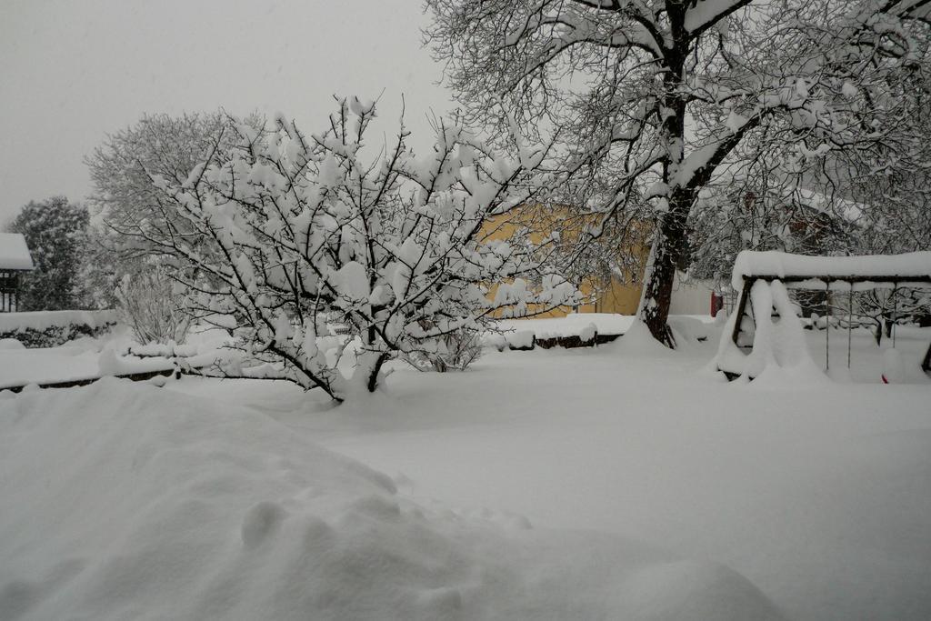 Heidinger Apartment Oberaudorf Bagian luar foto